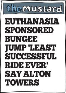 Headline: euthanasia SPONSORED BUNGEE JUMP 'LEAST SUCCESSFUL  RIDE EVER' SAY Alton TOWERS
